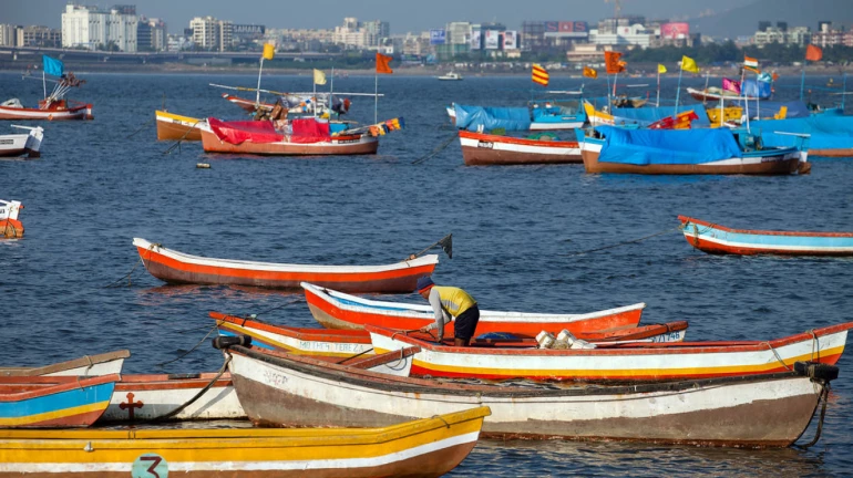 Cyclone Tauktae: If a boat or fishing net is damaged, THIS is HOW you contact the officials Cyclone Tauktae: If a boat or fishing net is damaged, THIS is HOW you contact the officials