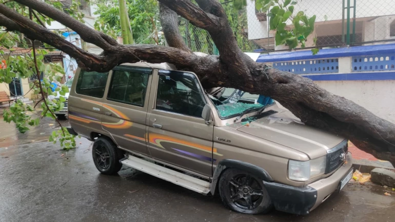 cyclone tauktae : चक्रीवादळाचा मुंबईला फटका, तर ८ जण जखमी