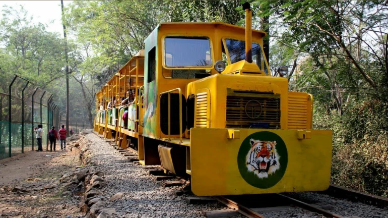 संजय गांधी राष्ट्रीय उद्यानात 'वन राणी' ट्रेन पुन्हा सुरू होणार