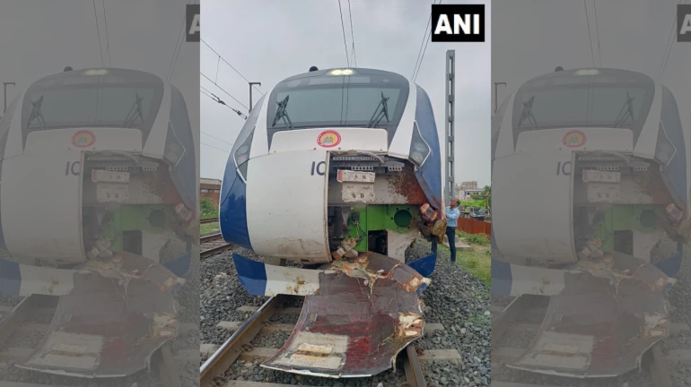Mumbai-Gandhinagar Vande Bharat train met with an accident sustains damages; Cattles Killed