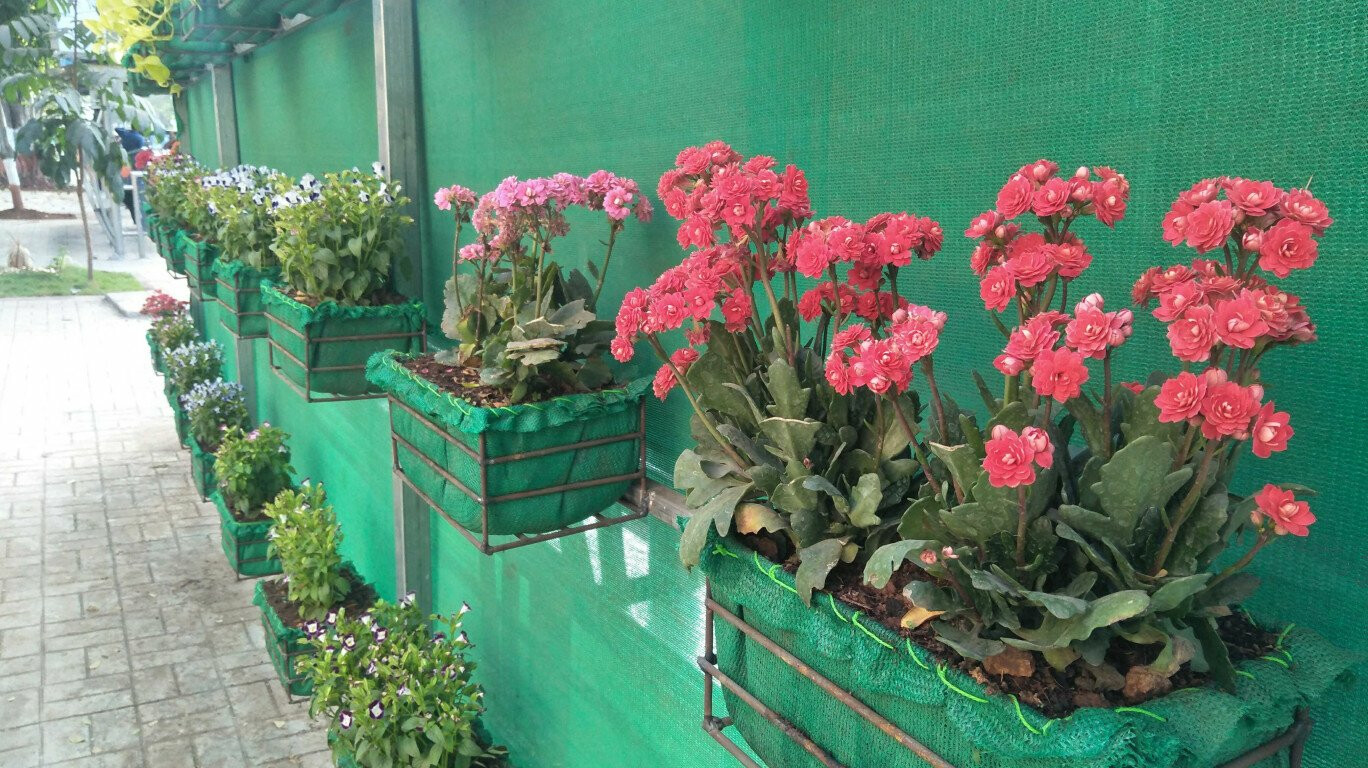 मध्य रेल्वेच्या 'या' 15 स्थानकांवर वर्टिकल गार्डन्स उभारण्यात येणार