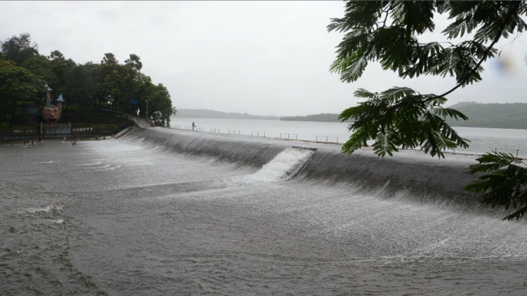 Mumbai Rains: Lakes Supplying Water To City Flowing Above Danger Mark Mumbai Rains: Lakes Supplying Water To City Flowing Above Danger Mark