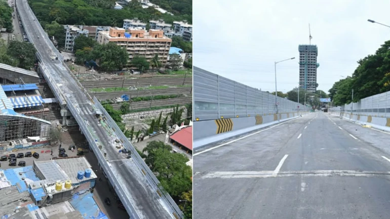 BMC का विक्रोली ईस्ट-वेस्ट कनेक्टर ब्रिज खुलने के लिए तैयार BMC का विक्रोली ईस्ट-वेस्ट कनेक्टर ब्रिज खुलने के लिए तैयार