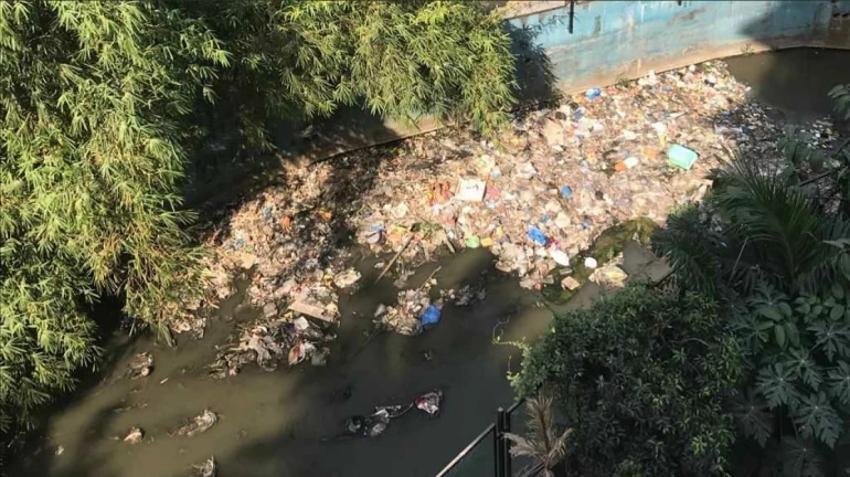 आता बीएमसी घरगुती घातक कचऱ्यावर लक्ष केंद्रित करणार आता बीएमसी घरगुती घातक कचऱ्यावर लक्ष केंद्रित करणार