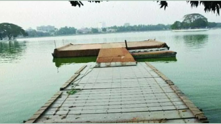 पनवेल : पर्यटकांना वडाळे तलावावर माशांना खायला घालण्यास मनाई पनवेल : पर्यटकांना वडाळे तलावावर माशांना खायला घालण्यास मनाई