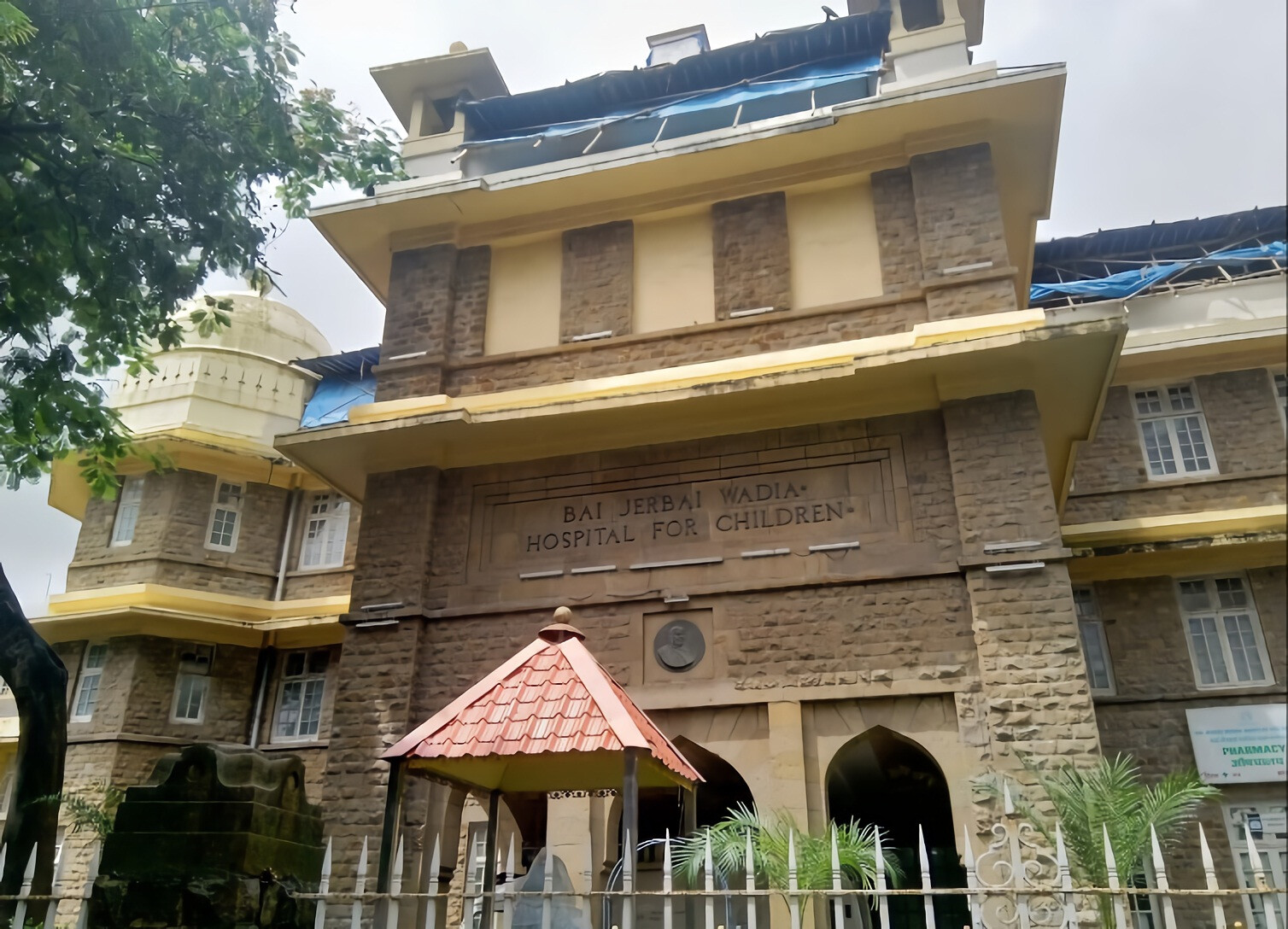 वाडिया रुग्णालयात मुलीच्या पोटातून काढला केसांचा गुंता