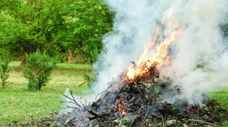 उघड्यावर कचरा जाळणं पडू शकतं महागात उघड्यावर कचरा जाळणं पडू शकतं महागात