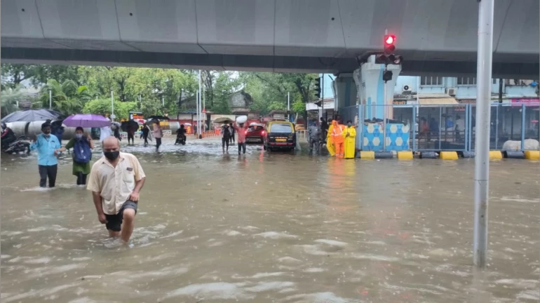 पहली बारिश में ही BMC की हुई फजीहत, मेयर ने याद दिलाई पुरानी बातें पहली बारिश में ही BMC की हुई फजीहत, मेयर ने याद दिलाई पुरानी बातें