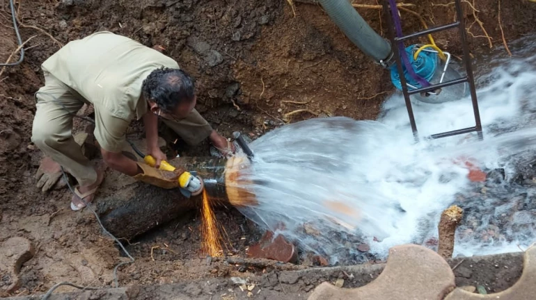 Cyclone Tauktae: Water supply in Wadala affected after tree collapsed Cyclone Tauktae: Water supply in Wadala affected after tree collapsed