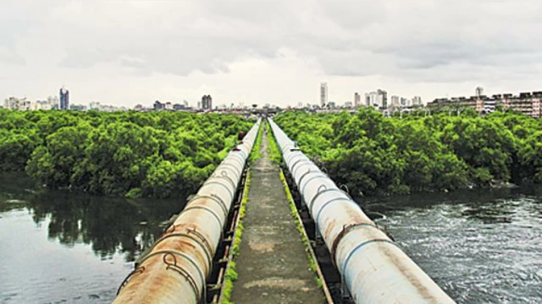 ठाणे-वाशी खाड़ी जल्द ही प्रदूषण मुक्त हो जाएगी ठाणे-वाशी खाड़ी जल्द ही प्रदूषण मुक्त हो जाएगी