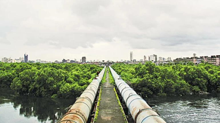 Maharashtra has received 36% of its normal June rainfall: CM Shinde Maharashtra has received 36% of its normal June rainfall: CM Shinde