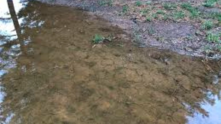 Considering the heavy rainfall in the state, declare a wet drought: Harshvardhan Sapkal Considering the heavy rainfall in the state, declare a wet drought: Harshvardhan Sapkal