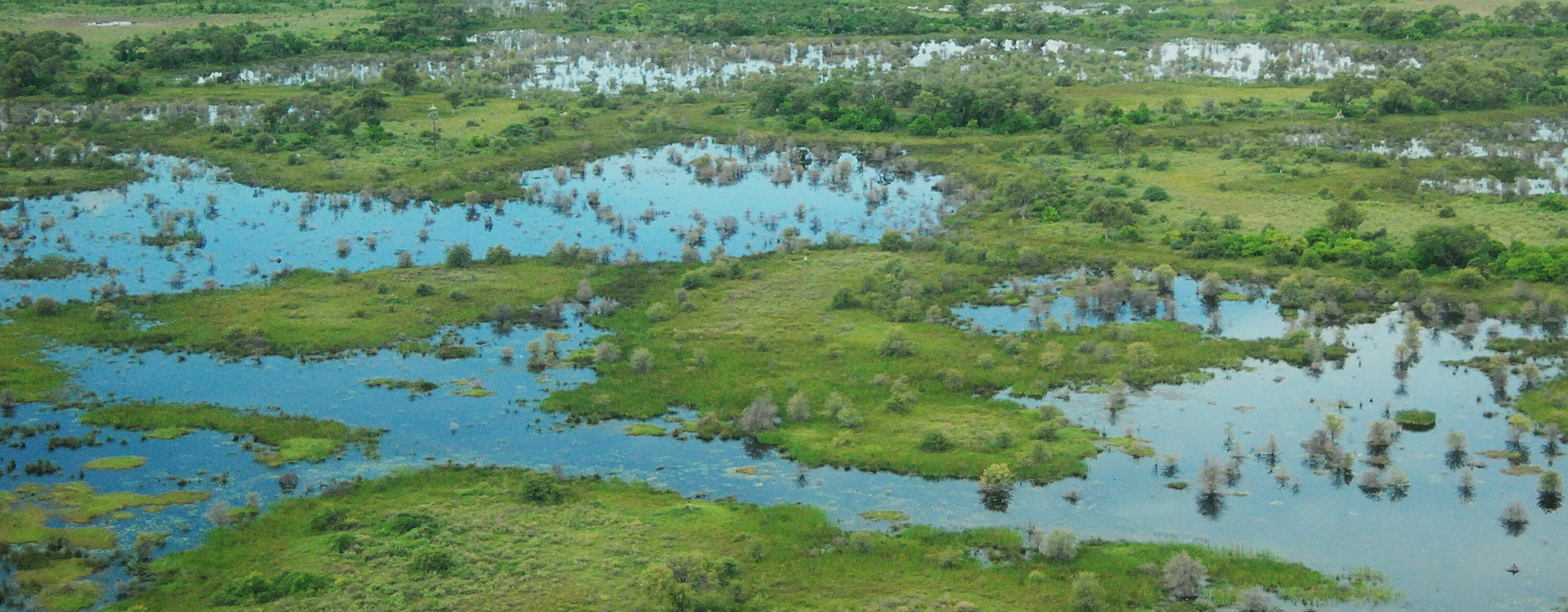 wetland_1601552984932 wetland_1601552984932