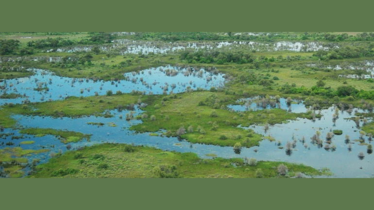 Raigad admin to undertake survey to declare Panje a wetland