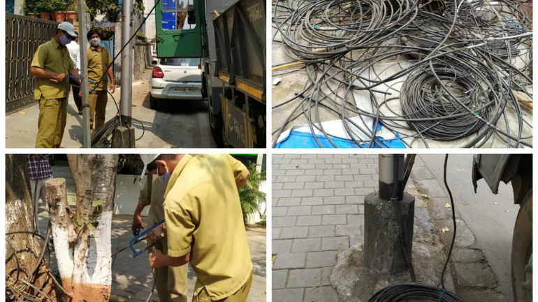 BMC removes 2.0 km of illegal overhead cables
