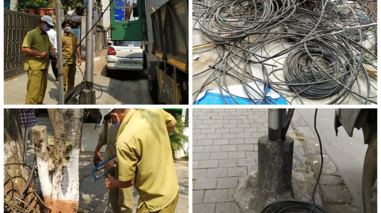 BMC removes 2.0 km of illegal overhead cables BMC removes 2.0 km of illegal overhead cables