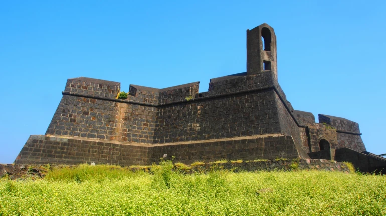 वरळी किल्ल्याची डागडुजी; 'इतका' होणार खर्च वरळी किल्ल्याची डागडुजी; 'इतका' होणार खर्च