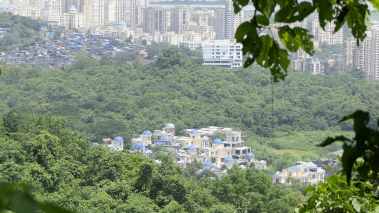 Thane: No construction materials to be brought into Yeoor without approval Thane: No construction materials to be brought into Yeoor without approval