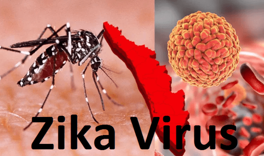First Zika Virus case reported in Maharashtra. Symptoms, prevention, cure - Here's all you need to know