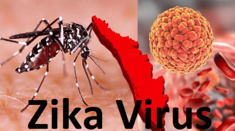 First Zika Virus case reported in Maharashtra. Symptoms, prevention, cure - Here's all you need to know