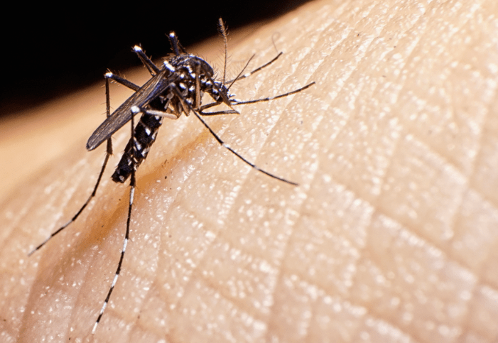 Thane District Hospital Prepares 30-Bed Ward for Zika Patients