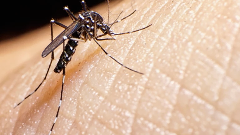 Zika patient found in Mumbai; BMC carrying out medical check up in societies in Chembur Zika patient found in Mumbai; BMC carrying out medical check up in societies in Chembur