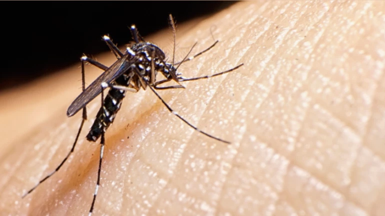 ठाणे जिला अस्पताल ने जीका रोगियों के लिए 30 बिस्तरों वाला वार्ड तैयार किया ठाणे जिला अस्पताल ने जीका रोगियों के लिए 30 बिस्तरों वाला वार्ड तैयार किया