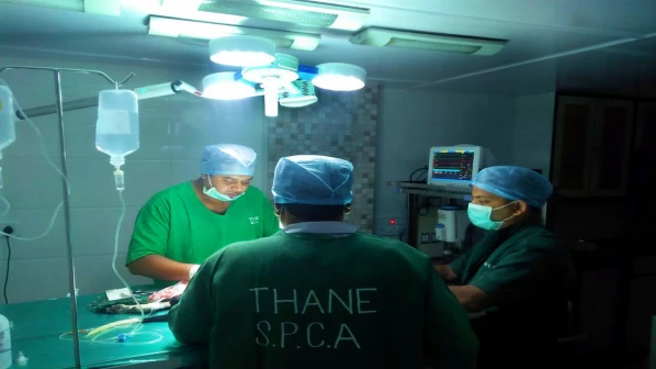 Thane SPCA to open an ICU for animals