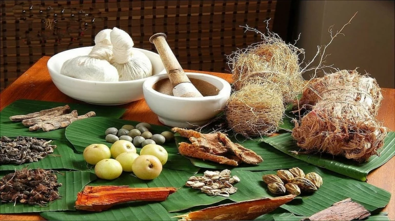 आयुर्वेदिक औषध उत्पादकांवर राज्यव्यापी कारवाई आयुर्वेदिक औषध उत्पादकांवर राज्यव्यापी कारवाई