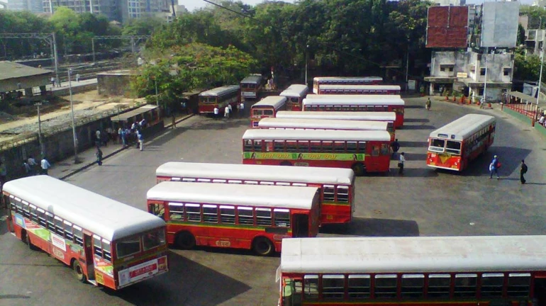 भाऊबीजनिमित्त बेस्टच्या जादा बसगाड्या