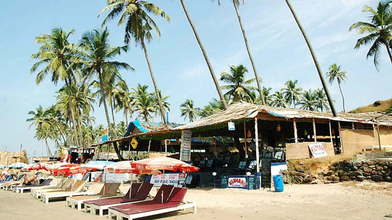 Maharashtra could get a 'Goa-like' coastline with shacks, seafood and liquor! 
