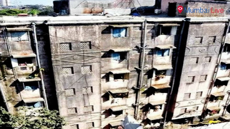 घुसखोरांचा डिजिटल सर्व्हे करण्याची मागणी 