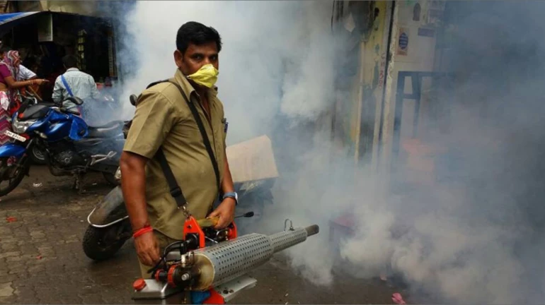 BMC's Unique Approach In Fight To Make Mumbai Dengue-free