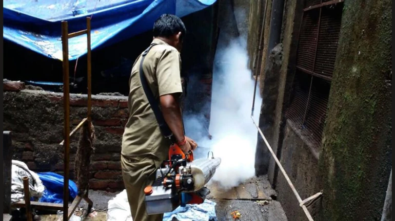 Mumbai Rains Update: Surge witnessed in dengue, other monsoon-related illness