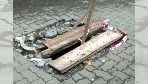 ढक्कन गुल !