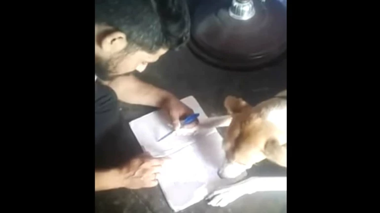 एबीसीडी नहीं लिखने पर कुत्ते को मारा थप्पड़ ,वीडियो वायरल