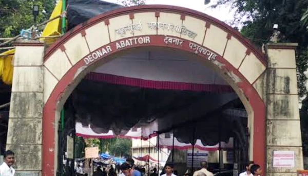 Deonar sizzles up for Bakri Id