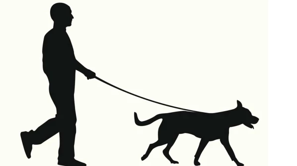 जानवर के साथ किया सेक्स, हुआ गिरफ्तार   