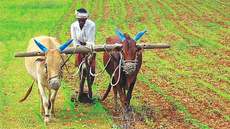 बुधवारपासून शेतकऱ्यांना प्रत्यक्ष कर्जमाफीचा लाभ!