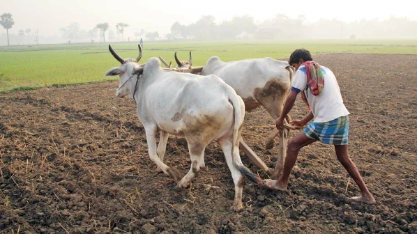 'त्या' शेतकऱ्याच्या नातेवाईकांनी मदत नाकारली