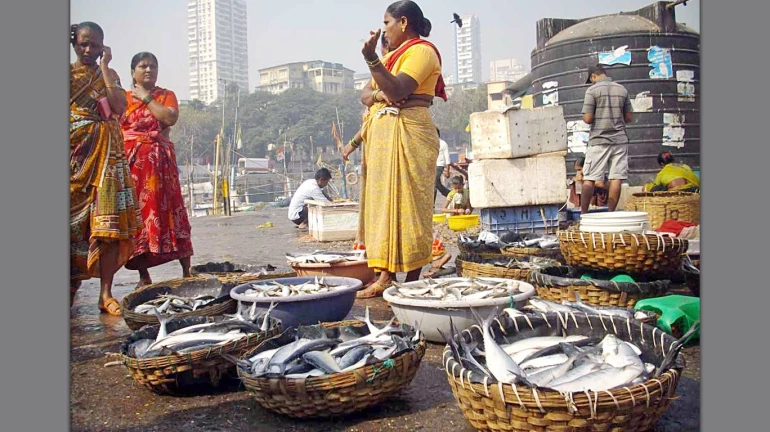 ओखी इफेक्ट: म्हावरं महागणार... पुढचे १० दिवस मासेमारी बंद