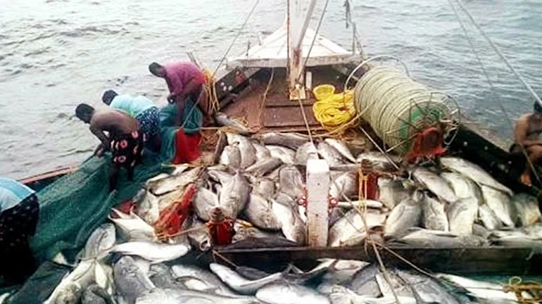 Central government bans bull trawling and purse-seining along the Indian coastline