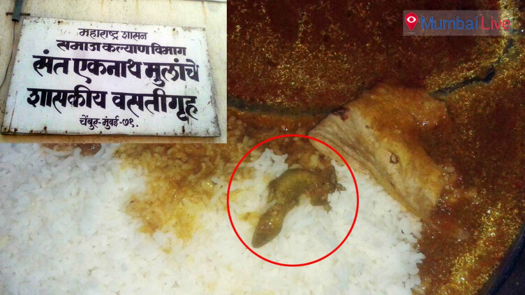 FDA to take action against contractor who served lizard