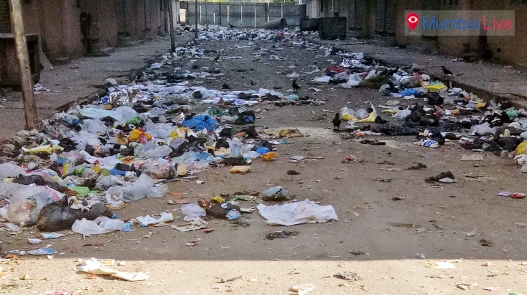 Garbage all around