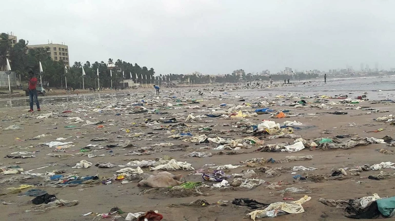 BMC to issue tenders to clean up Juhu beach