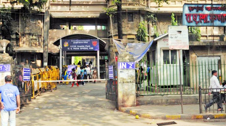 मुंबईकर मोबाइल ऐप के जरिए बीएमसी अस्पतालों में अपॉइंटमेंट बुक कर सकेंगे