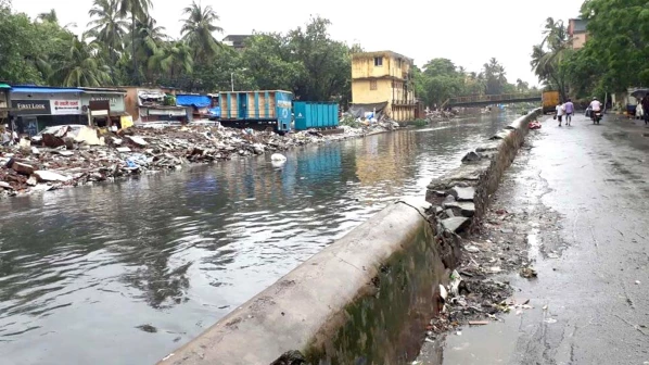 शिवसेनेने विरोधकांसह वाचवली कुर्ल्यातील  २० झाडे