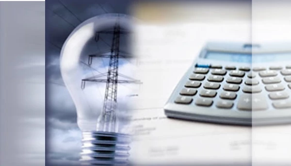 गणेशोत्सवात MSEB दोन दिवस बंद