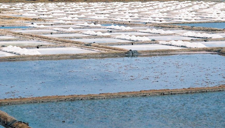 Dahisar-Bhayander Link Road (DBLR) Project Gets Land Clearance from Central Government