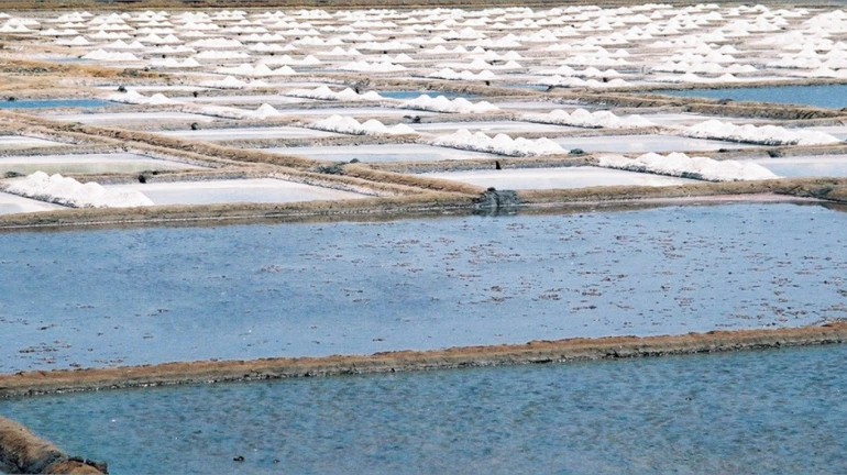 विकासासाठी मिठागरांचा ऱ्हास, मुंबईसाठी घातक विकासासाठी मिठागरांचा ऱ्हास, मुंबईसाठी घातक
